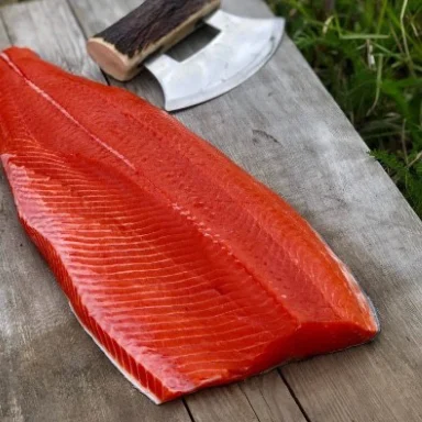 Sockeye Salmon (ONCORHYCHUS NERKA)